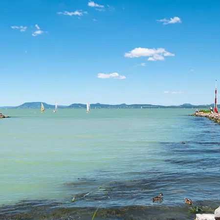In - Balaton 19144 公寓