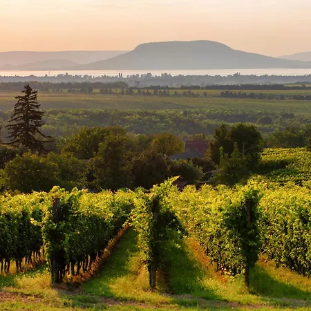 In - Balaton 19144 Balatonlelle